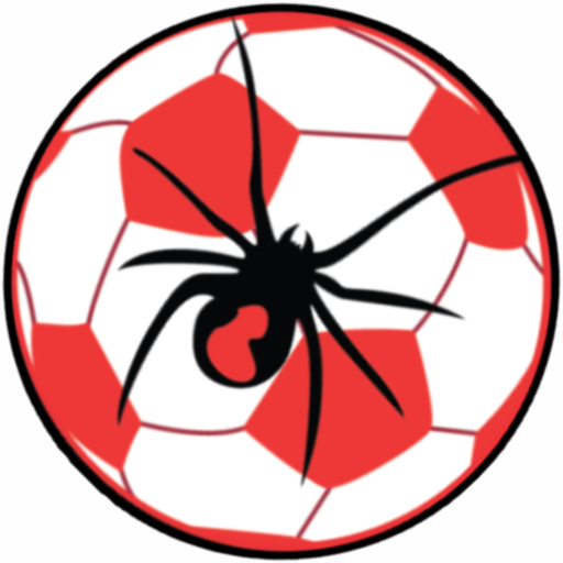 CRFC Ball Logo Website 520x v2